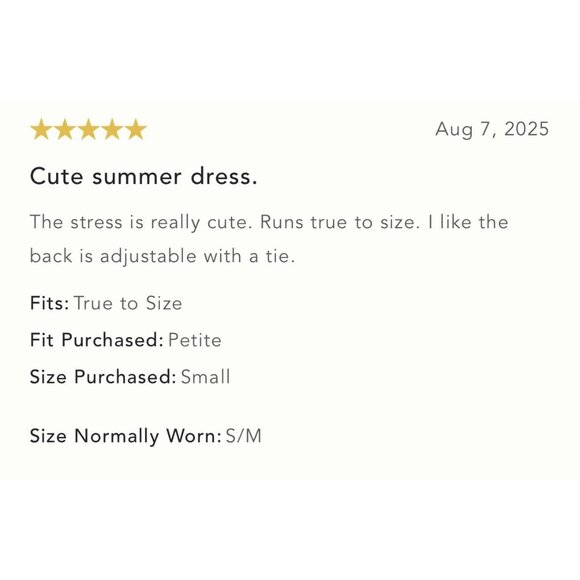 NWT Size L - Anthropologie Apron-Style Mini Dress (NWT US$ 158) - Picture 9 of 15